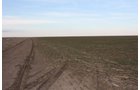 Property photo 61 - Kansas Land Auction - 960 Acres - 7 Farms in 3 Counties